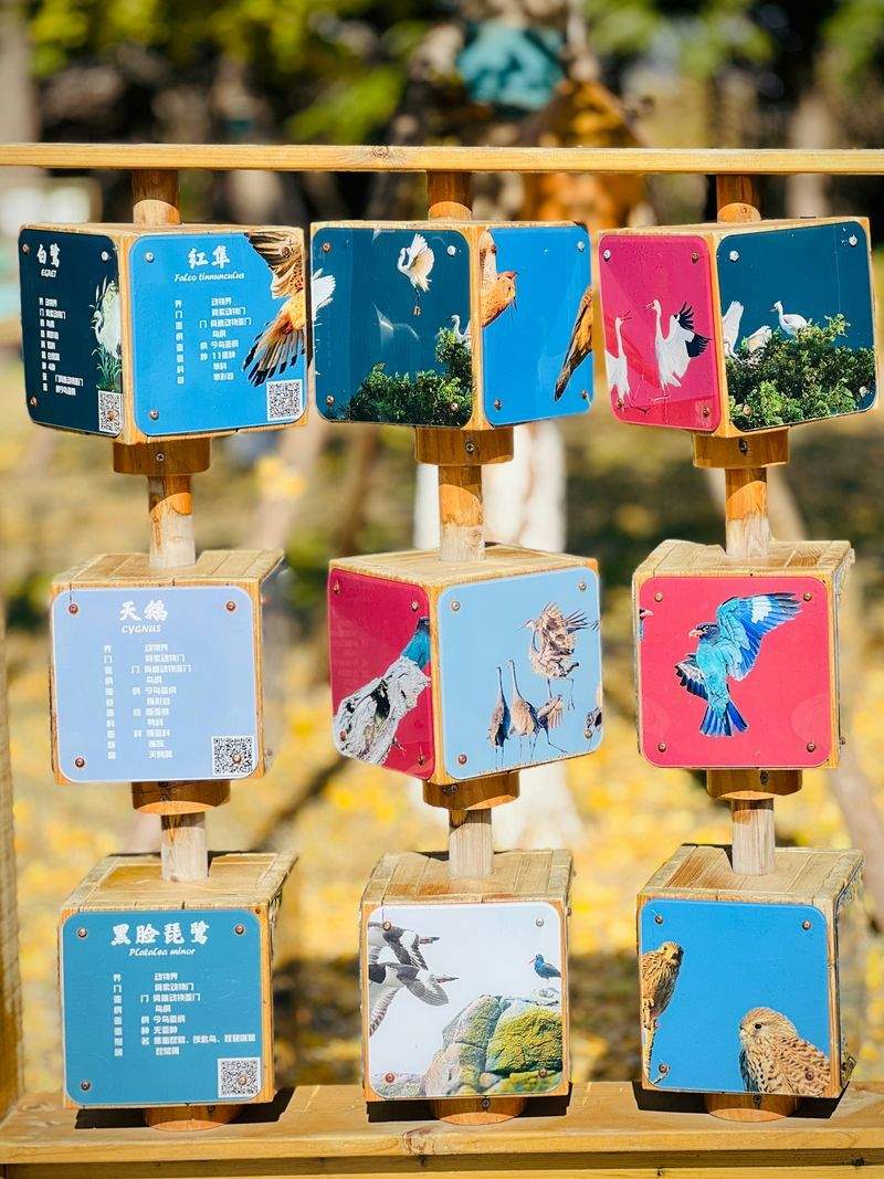 Scuola di Eccellenza Italiana - Image 6